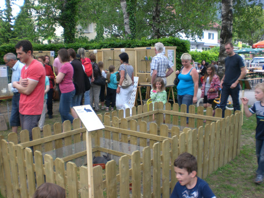 CIMG8707_JPG-1337881372