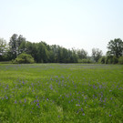 DSC01353_JPG-1337892567