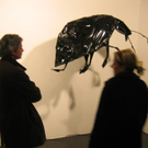 IMG_2146.JPG