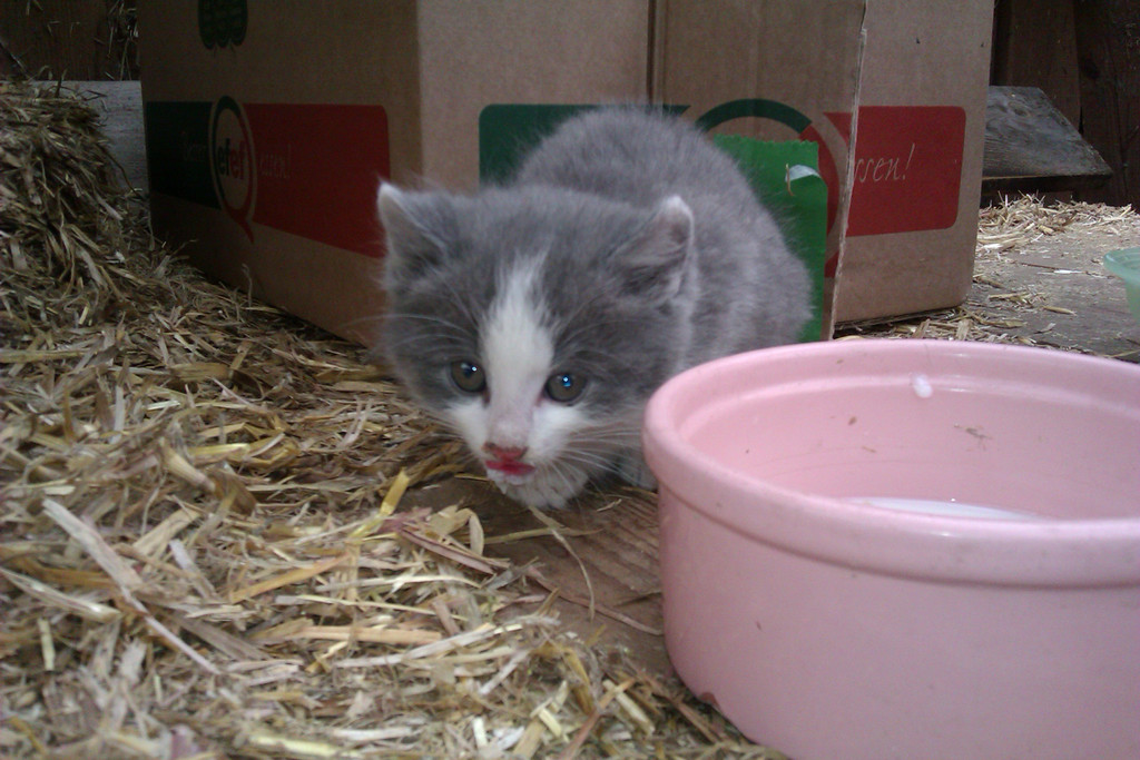 IMAG0185_jpg-1337926191