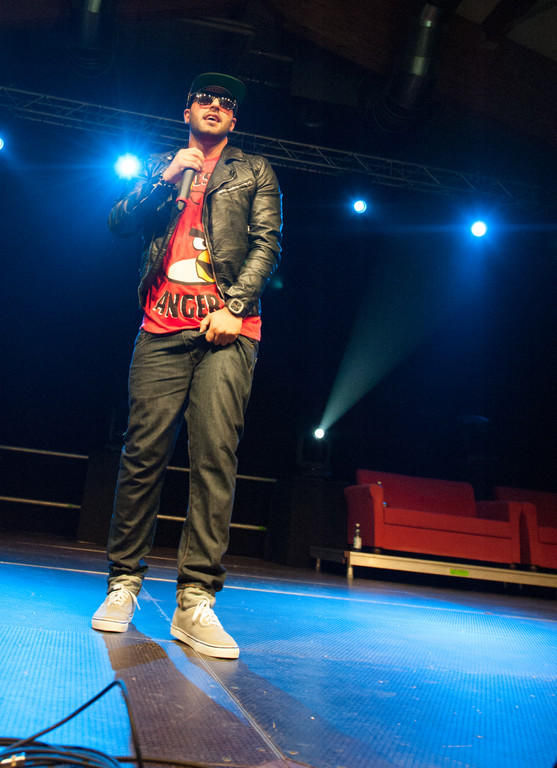 DSDS30 by BEATE RHOMBERG_jpg-1337939684