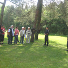 IMG_5322_JPG-1337946026