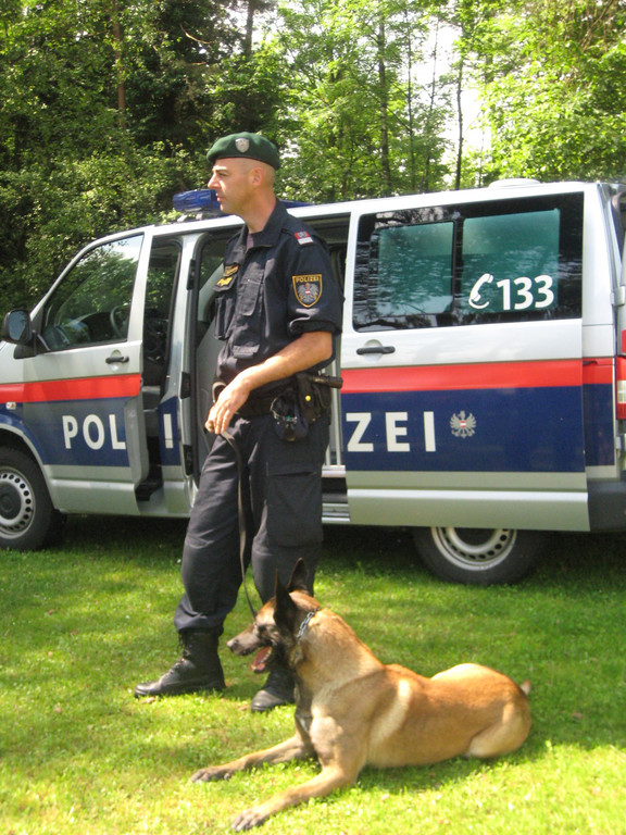 IMG_5323_JPG-1337946032