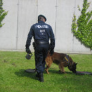 IMG_5328_JPG-1337946045