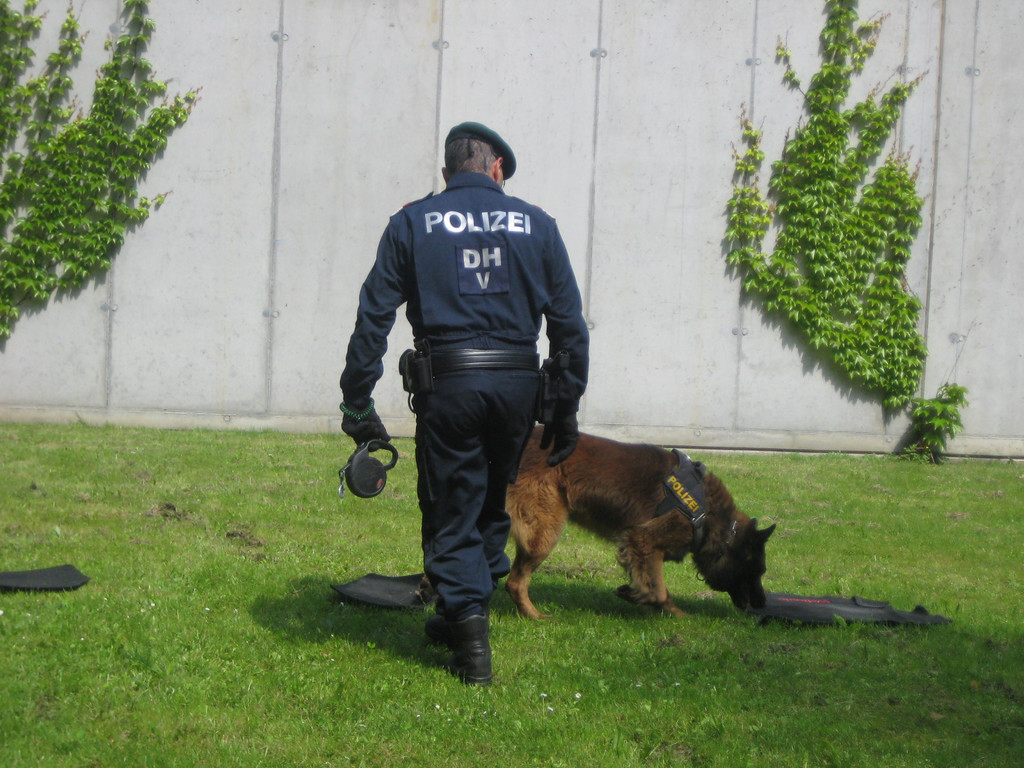 IMG_5328_JPG-1337946045