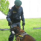 IMG_5329_JPG-1337946051