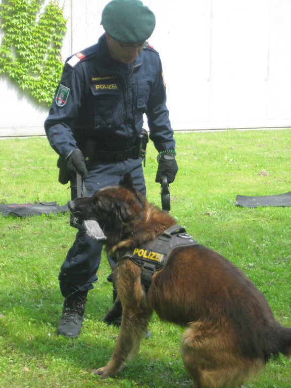 IMG_5329_JPG-1337946051