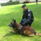 IMG_5331_JPG-1337946057