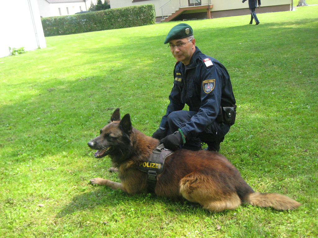 IMG_5331_JPG-1337946057