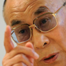 lama5.jpg
