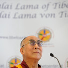 lama7.jpg