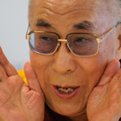 lama8.jpg