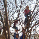 Kinder_Kletterbaum_jpg-1337954490