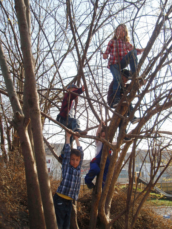 Kinder_Kletterbaum_jpg-1337954490