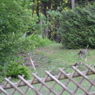DSC_0545.JPG