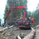 Arbeitsunfall Schoppernau08.jpg