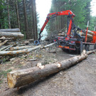 Arbeitsunfall Schoppernau02.jpg