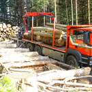 Arbeitsunfall Schoppernau10.jpg