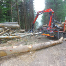 Arbeitsunfall Schoppernau05.jpg