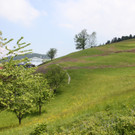 Eichenberg Hangentwaesserung 2012 _10__jpg-1337970281