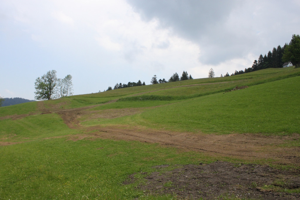 Eichenberg Hangentwaesserung 2012 _2__jpg-1337970228