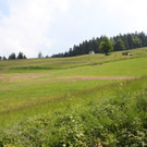 Eichenberg Hangentwaesserung 2012 _9__jpg-1337970274