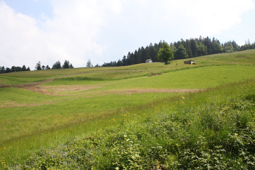 Eichenberg Hangentwaesserung 2012 _9__jpg-1337970274