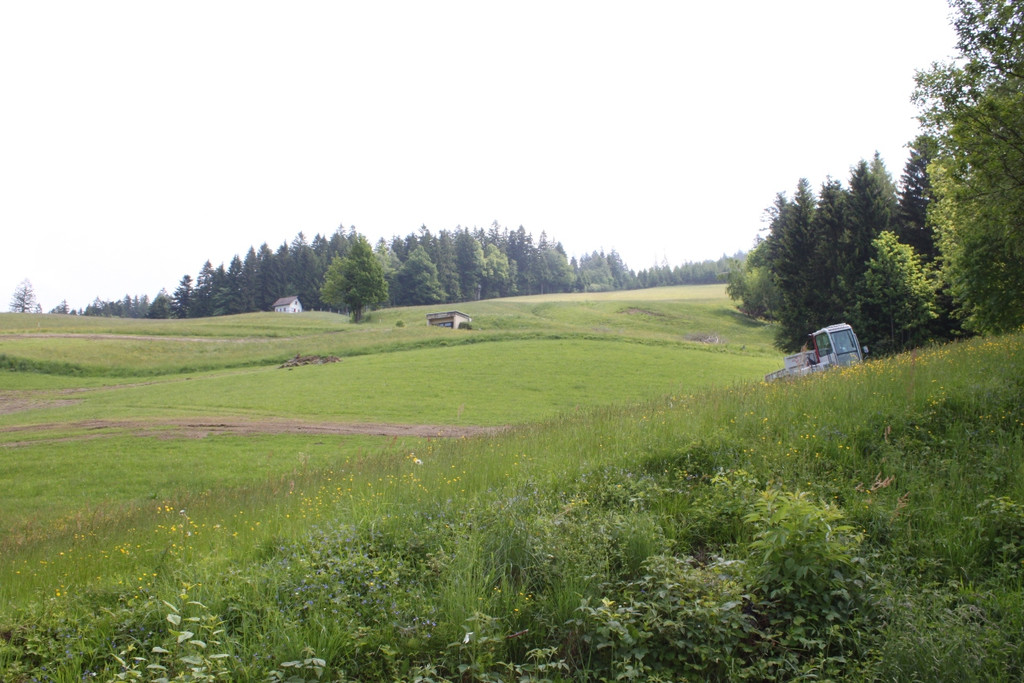 Eichenberg Hangentwaesserung 2012 _12__jpg-1337970293