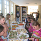 VS Gesunde Jause 2012 _8__jpg-1338015684