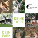 KOE_Wildpark-201205 2_jpg-1338048507