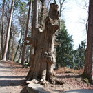 KOE_Wildpark-201205 17_jpg-1338048610