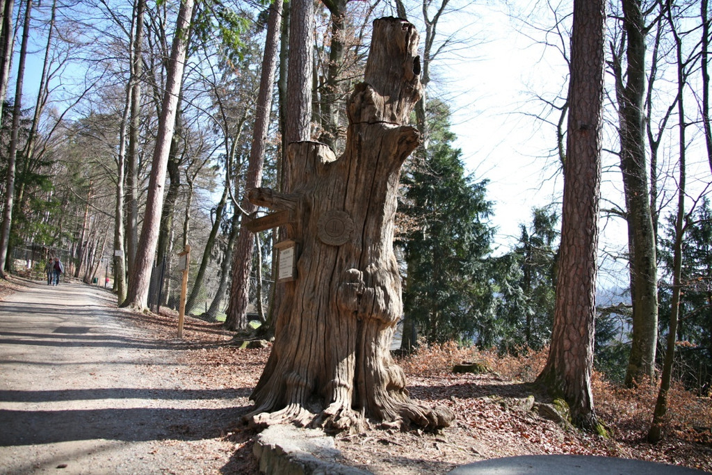 KOE_Wildpark-201205 17_jpg-1338048610