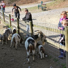 KOE_Wildpark-201205 19_jpg-1338048634