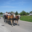 IMG_3140_JPG-1338047403