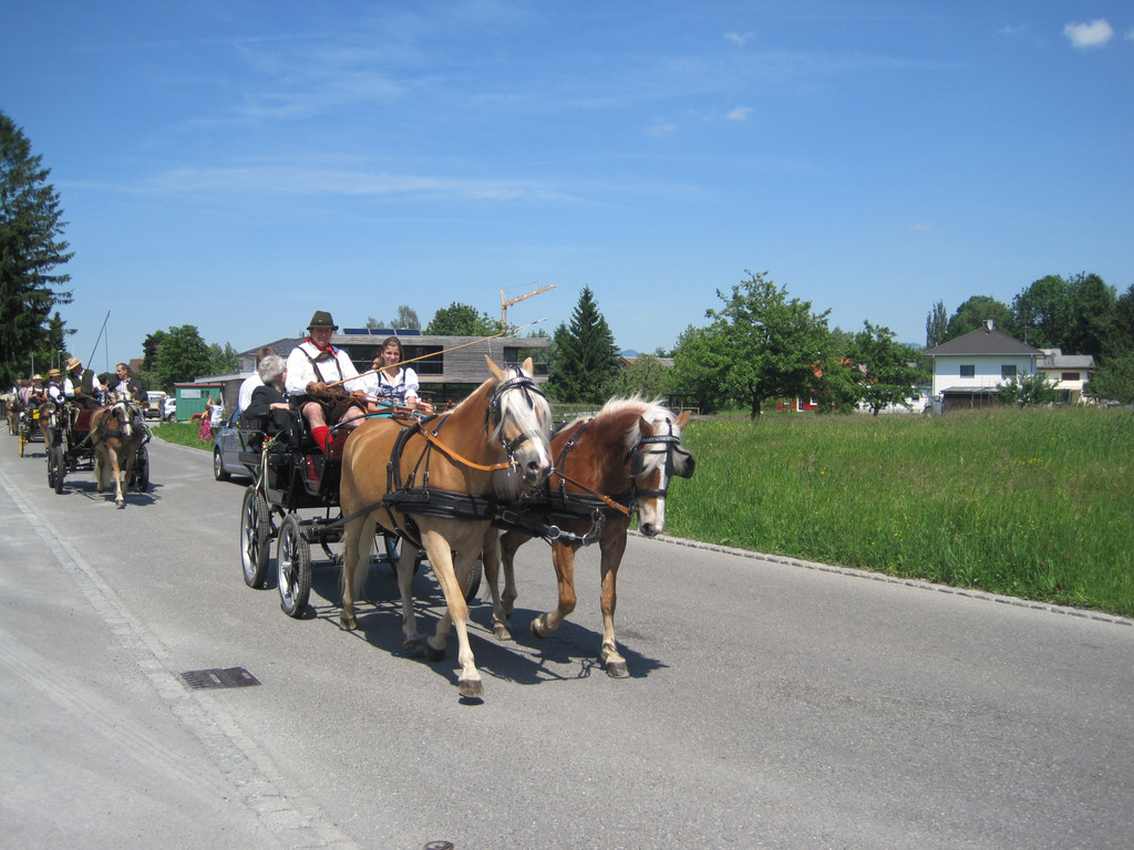 IMG_3140_JPG-1338047403