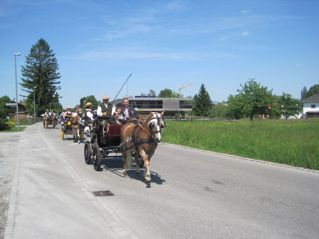IMG_3141_JPG-1338047501
