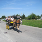 IMG_3142_JPG-1338047618