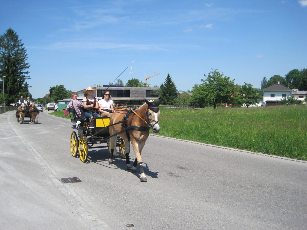 IMG_3142_JPG-1338047618