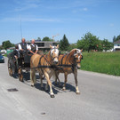 IMG_3143_JPG-1338047725