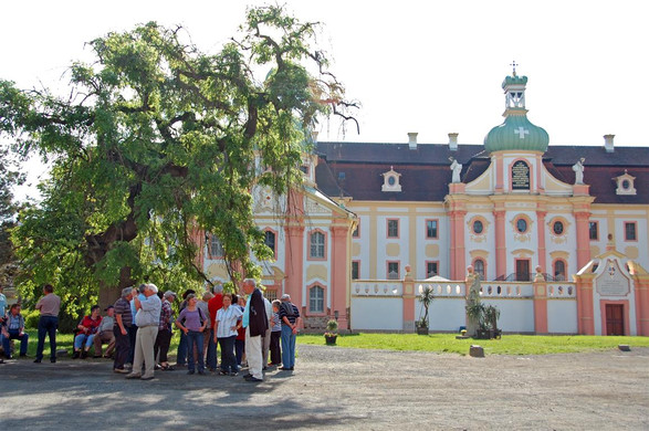 Tag_2_Zittau_009 _Mittel__JPG-1338059203