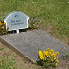 Tag_2_Zittau_036 _Mittel__JPG-1338059227