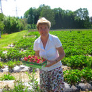 BK_Erdbeeren_Koblach2012 15_jpg-1338059991