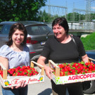 BK_Erdbeeren_Koblach2012_jpg-1338060048