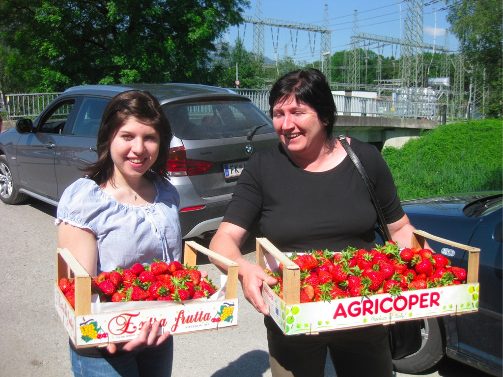BK_Erdbeeren_Koblach2012_jpg-1338060048
