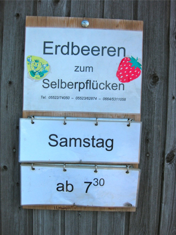BK_Erdbeeren_Koblach2012 2_jpg-1338059830