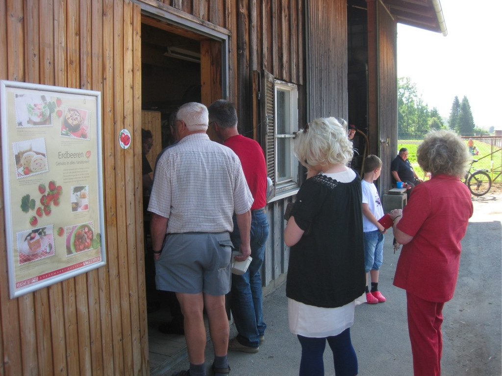 BK_Erdbeeren_Koblach2012 1_jpg-1338059824