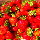 BK_Erdbeeren_Koblach2012 19_jpg-1338060036