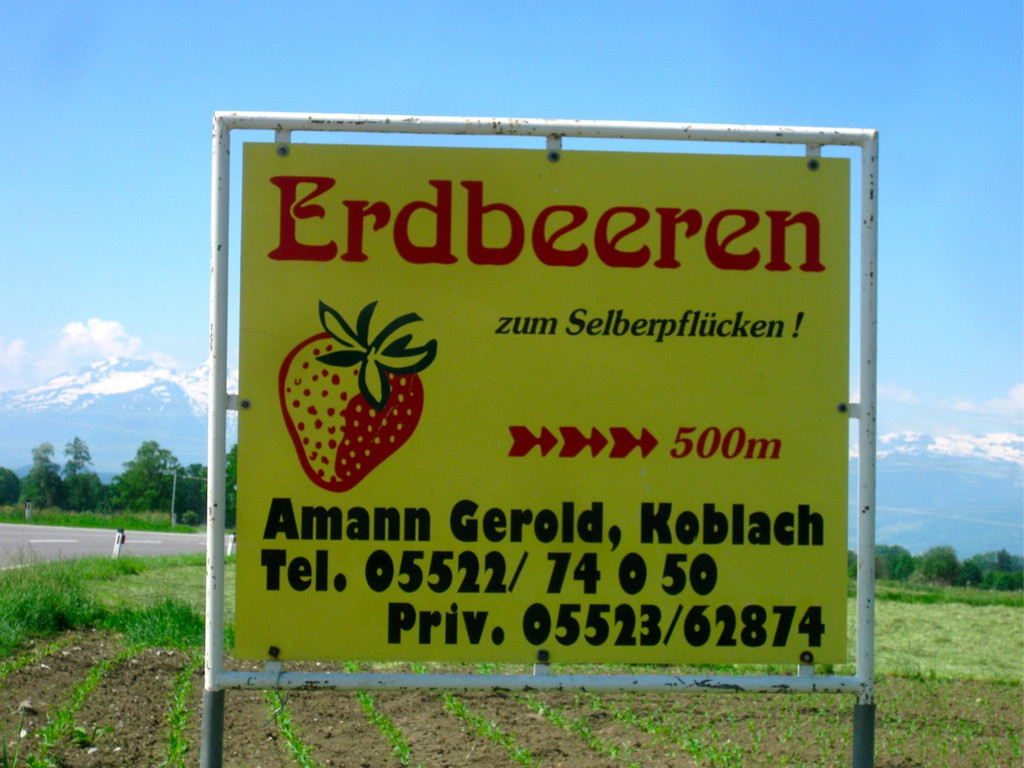 BK_Erdbeeren_Koblach2012 20_jpg-1338060041