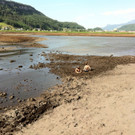 KOE_Naturjuwel Egelsee 3_jpg-1338064776