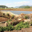 KOE_Naturjuwel Egelsee 7_jpg-1338064814